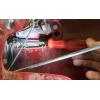 imageLisle 34950 Lock Rod Release Tool for Ford