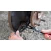 imageLisle 44210 Universal Emergency Brake Tool